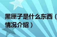 黑匣子是什么东西（对于黑匣子是什么东西的情况介绍）