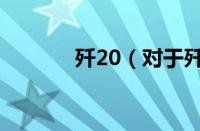 歼20（对于歼20的情况介绍）