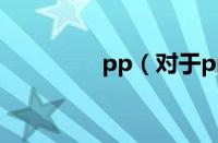 pp（对于pp的情况介绍）