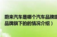 蔚来汽车是哪个汽车品牌旗下的（对于蔚来汽车是哪个汽车品牌旗下的的情况介绍）