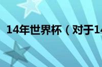 14年世界杯（对于14年世界杯的情况介绍）