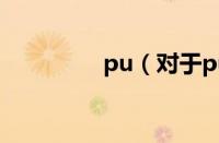 pu（对于pu的情况介绍）