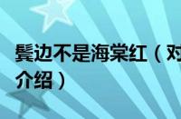 鬓边不是海棠红（对于鬓边不是海棠红的情况介绍）