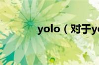 yolo（对于yolo的情况介绍）