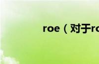 roe（对于roe的情况介绍）