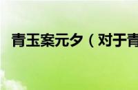 青玉案元夕（对于青玉案元夕的情况介绍）