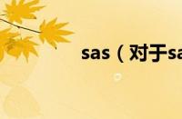 sas（对于sas的情况介绍）