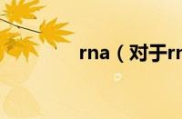 rna（对于rna的情况介绍）