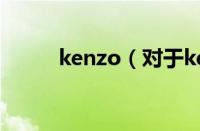 kenzo（对于kenzo的情况介绍）