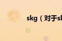 skg（对于skg的情况介绍）