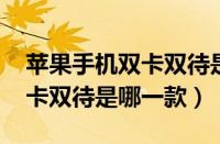 苹果手机双卡双待是哪一款pp（苹果手机双卡双待是哪一款）