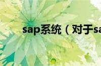 sap系统（对于sap系统的情况介绍）