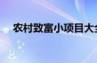 农村致富小项目大全（农村致富小项目）