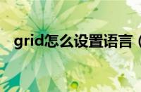 grid怎么设置语言（grid2怎么设置中文）