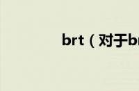 brt（对于brt的情况介绍）