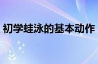 初学蛙泳的基本动作（初学蛙泳的动作要领）