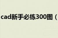 cad新手必练300图（如何快速学会cad制图）