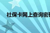 社保卡网上查询密码（社保卡网上查询）