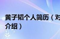 黄子韬个人简历（对于黄子韬个人简历的情况介绍）