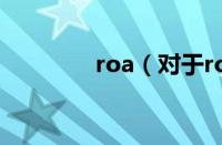 roa（对于roa的情况介绍）