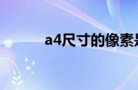 a4尺寸的像素是多少（a4尺寸）