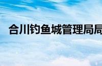 合川钓鱼城管理局局长秦辉（合川钓鱼城）