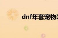 dnf年套宠物装备（dnf年套）