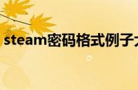 steam密码格式例子大全（steam密码格式）