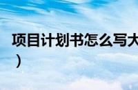 项目计划书怎么写大学生（项目计划书怎么写）