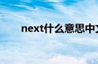 next什么意思中文（next什么意思）