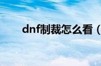 dnf制裁怎么看（dnf制裁记录查询）