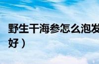 野生干海参怎么泡发最好（干海参怎么泡发最好）