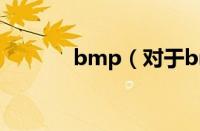 bmp（对于bmp的情况介绍）