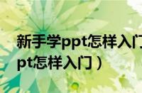 新手学ppt怎样入门手机软件下载（新手学ppt怎样入门）