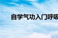 自学气功入门呼吸法（自学气功入门）