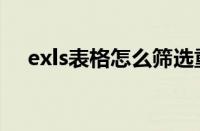 exls表格怎么筛选重复数据（exls表格）