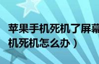 苹果手机死机了屏幕动不了无法重启（苹果手机死机怎么办）