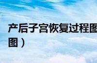 产后子宫恢复过程图视频（产后子宫恢复过程图）