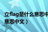 立flag是什么意思中文怎么说（立flag是什么意思中文）