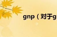 gnp（对于gnp的情况介绍）