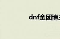 dnf金团博主（dnf金团）