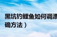 黑坑钓鲤鱼如何调漂最好用（钓鲤鱼调漂的正确方法）