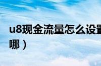 u8现金流量怎么设置（oppo手机流量设置在哪）