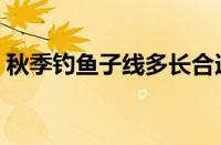 秋季钓鱼子线多长合适（钓鱼子线多长合适）