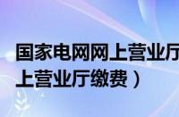 国家电网网上营业厅缴费怎么交（国家电网网上营业厅缴费）