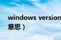 windows version意思（电脑version什么意思）