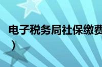 电子税务局社保缴费步骤（高考网上缴费步骤）