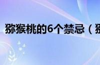 猕猴桃的6个禁忌（猕猴桃与奇异果的区别）