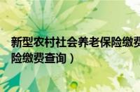 新型农村社会养老保险缴费查询网站（新型农村社会养老保险缴费查询）