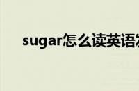 sugar怎么读英语发音（sugar怎么读）